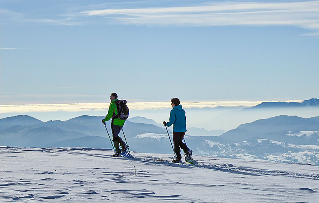 Ferienwohnung - Vason , Italien - IDD391 15