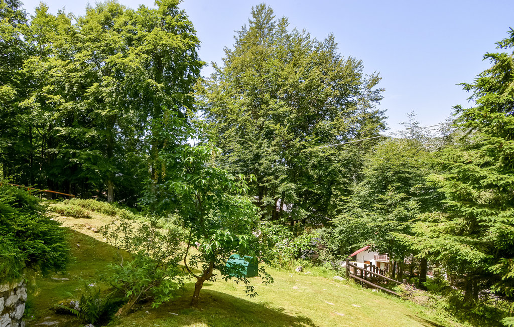 Ferienwohnung - Piancavallo , Italien - IDD426 7