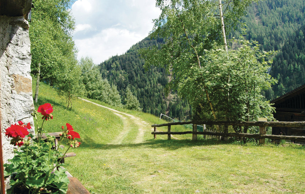 Ferienhaus - Peio Terme , Italien - IDD185 6