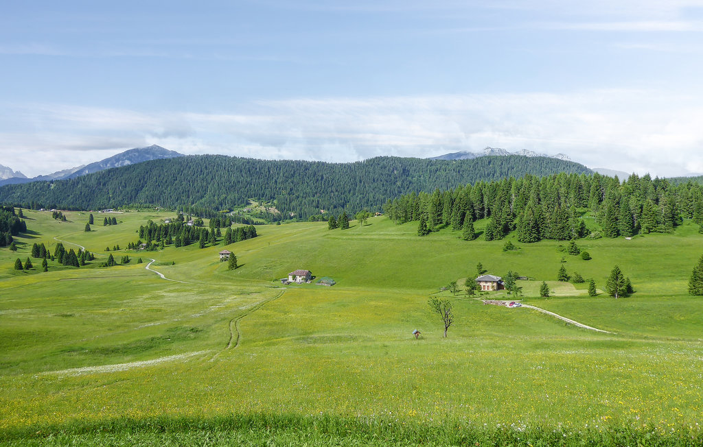 Ferienwohnung - Borgo Valsugana , Italien - IDD445 5