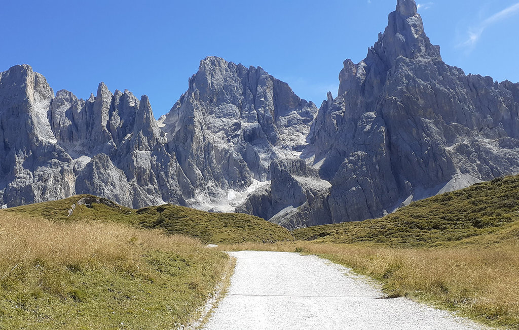 Lejlighed - Lamon , Italien - IDD446 6