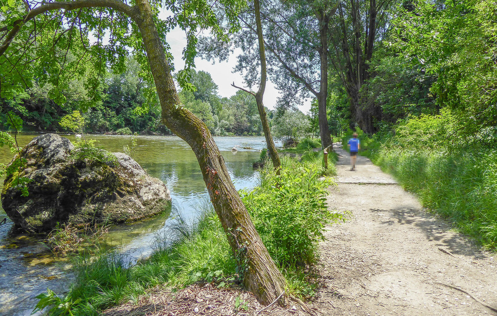 Lejlighed - Sovramonte , Italien - IDD008 34