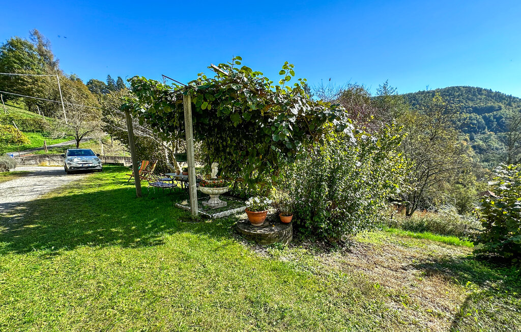 Ferienwohnung - Lamon , Italien - IDD016 17