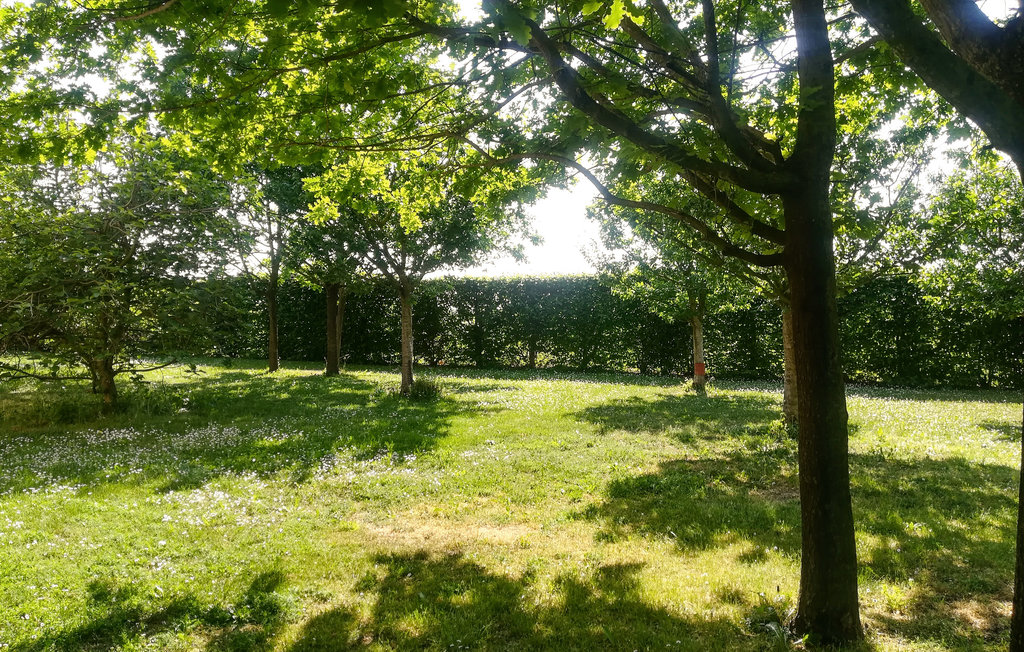 Ferienwohnung - Porotto- Ferrara , Italien - IEC238 19