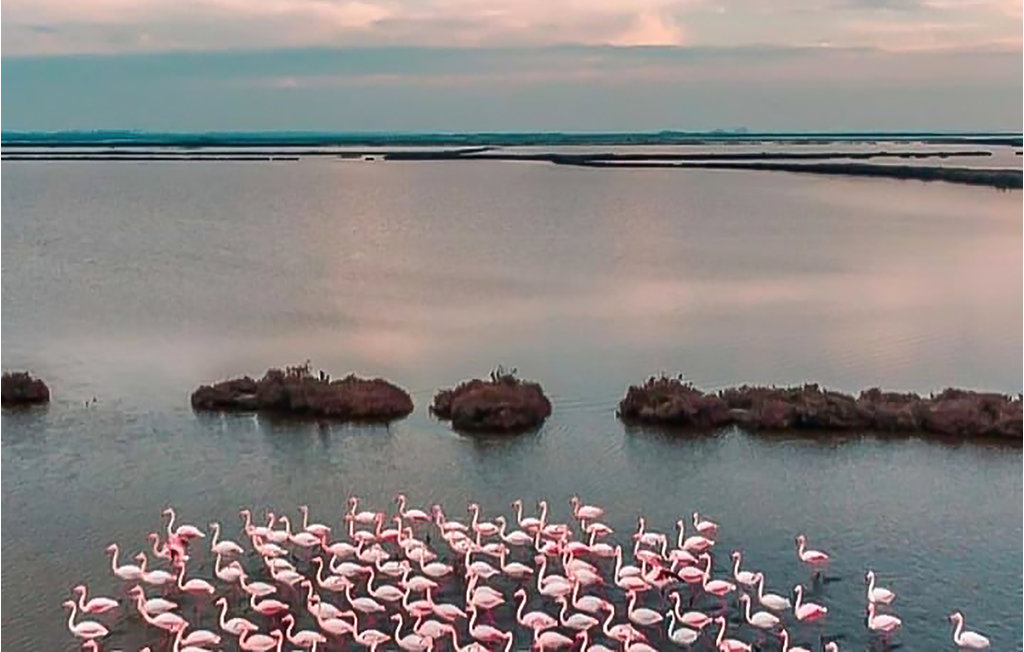 Ferienwohnung - Lido Degli Estensi , Italien - IEK375 6