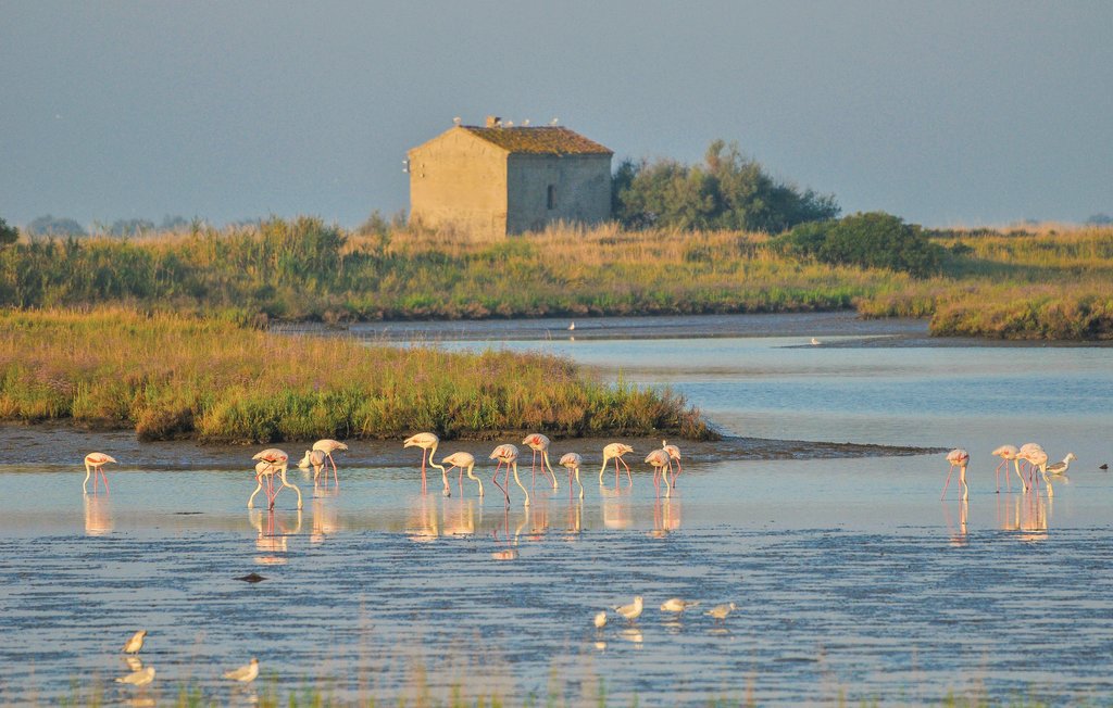 Feriehus - Lido delle Nazioni , Italia - IEK152 17