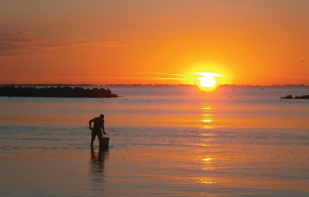 Ferieleilighet - Lido delle Nazioni , Italia - IEK138 21