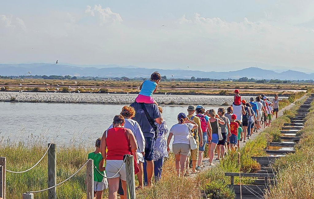 Ferienwohnung - Lido de Pomposa , Italien - IEK376 7