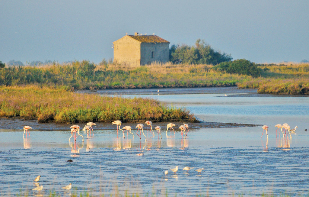 Feriehuse - Lido di Spina , Italien - IEK247 30