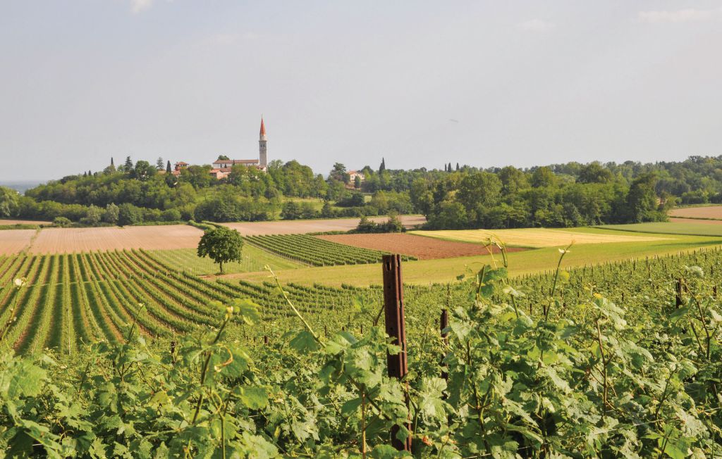 Ferienhaus - Moruzzo , Italien - IFC101 25