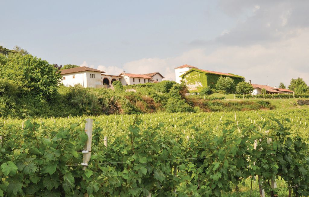 Ferienhaus - Moruzzo , Italien - IFC101 23