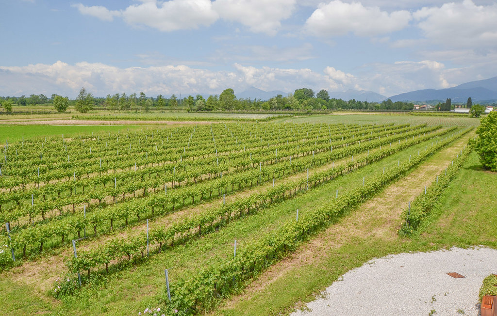 Ferienhaus - Cividale del Friuli , Italien - IFC169 27
