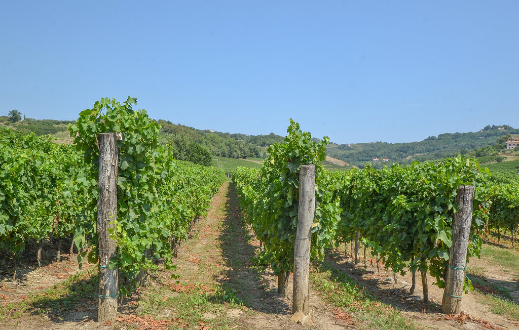 Ferienhaus - Cividale del Friuli , Italien - IFC169 28
