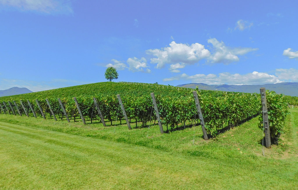 Ferienhaus - Cividale del Friuli , Italien - IFC179 6