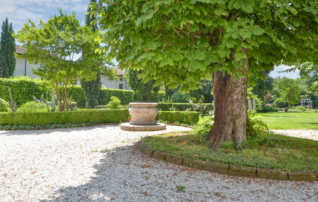 Lejlighed - Udine , Italien - IFC162 12