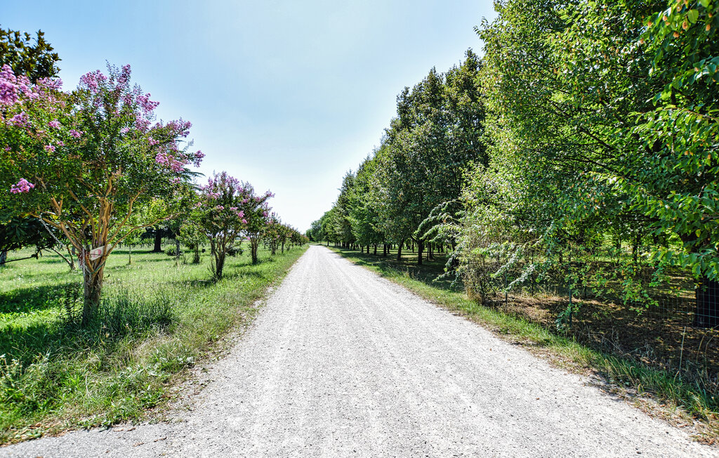 Location de vacances - Udine , Italie - IFC009 7