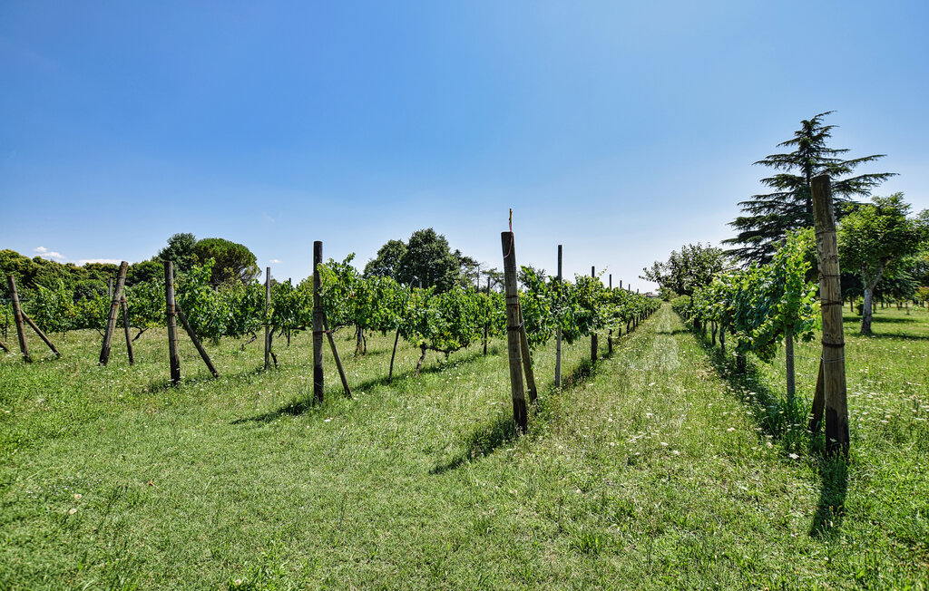 Location de vacances - Udine , Italie - IFC009 8