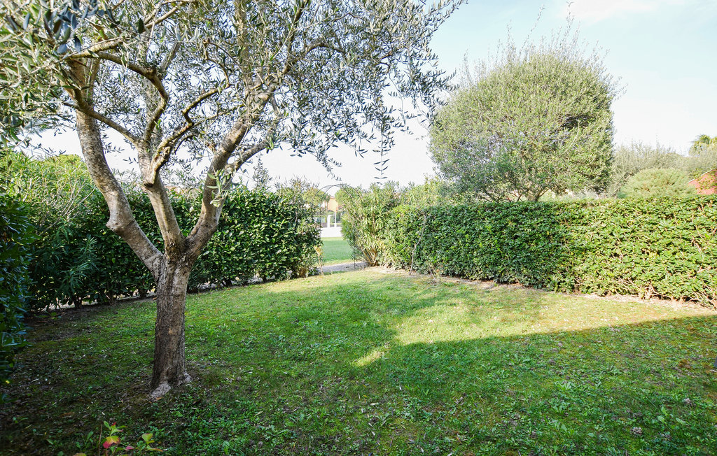 Ferienwohnung - Aprilia Marittima , Italien - IFK251 6