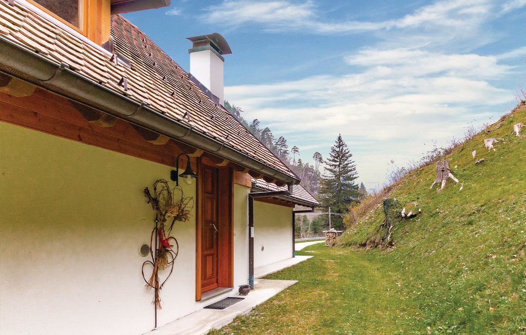 Bild 5 Bild 5