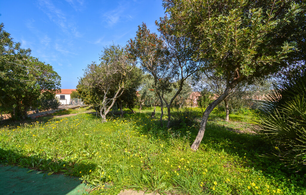 Location de vacances - Torre dei Corsari , Italie - IGC055 6