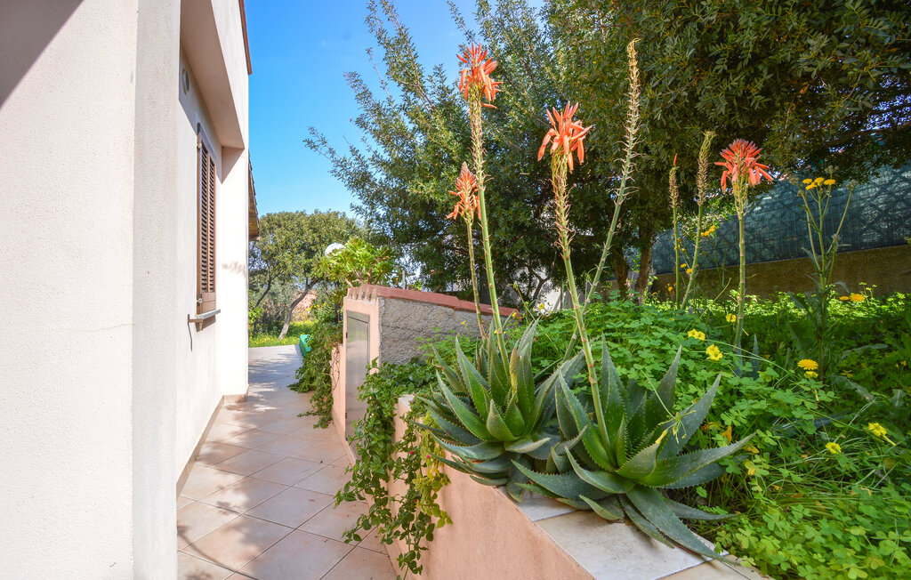 Location de vacances - Torre dei Corsari , Italie - IGC055 19