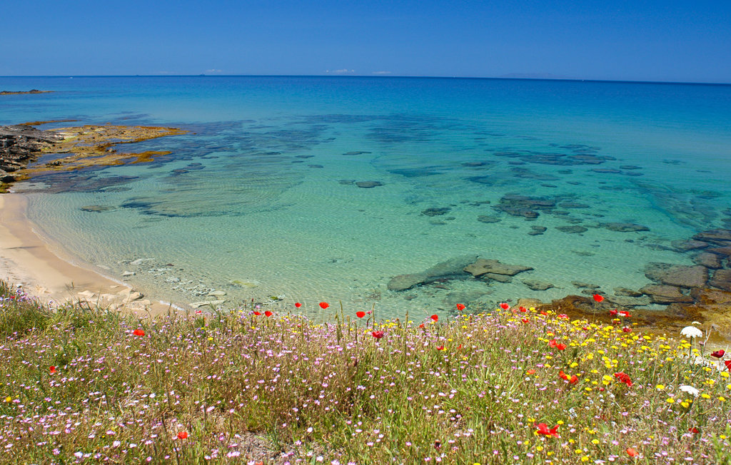 Ferienwohnung - Valledoria , Italien - IGG403 6