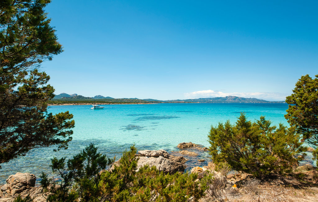 Ferieleilighet - Golfo Aranci , Italia - IGG289 6