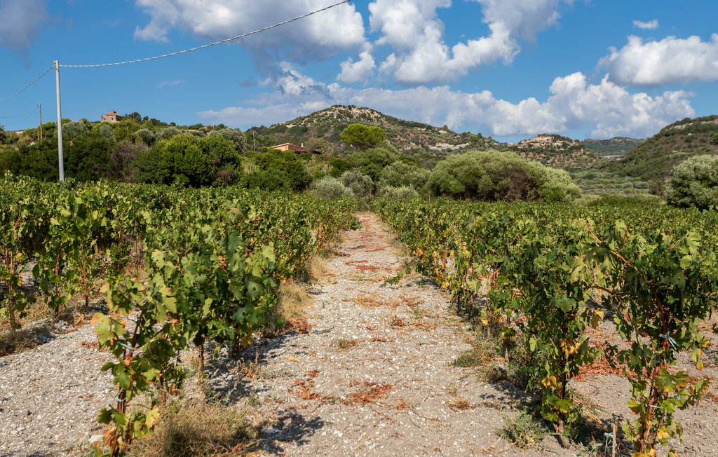 Semesterhus - Bosa , Italien - IGO065 34