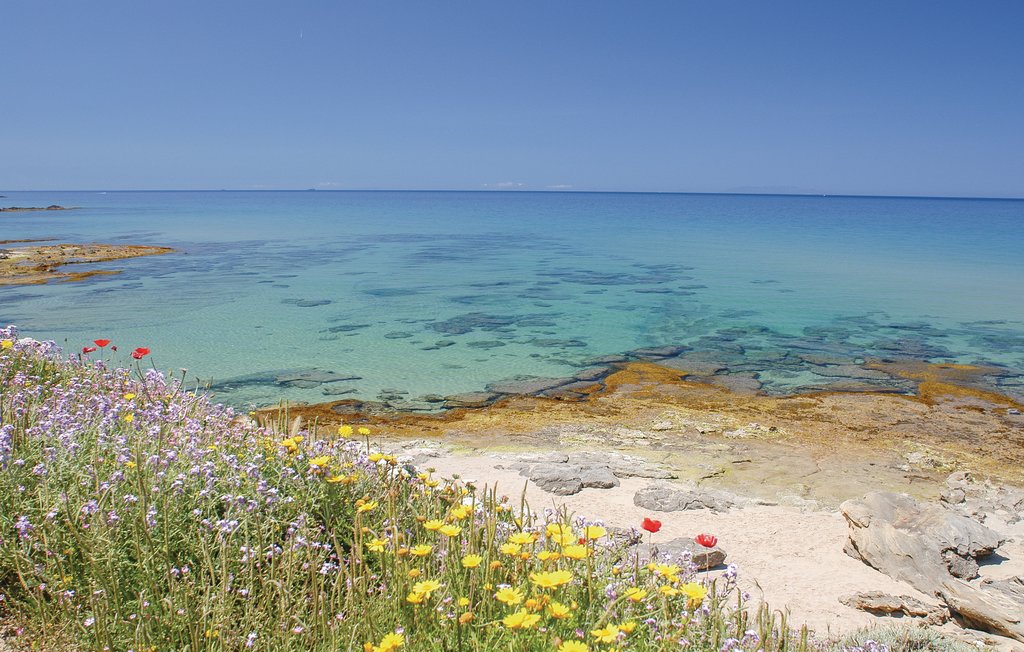 Lejlighed - Olbia , Italien - IGS030 5