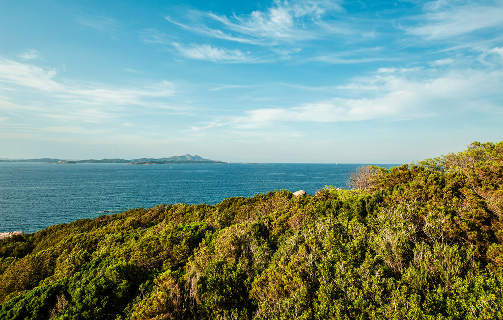 Ferienwohnung - Baja Sardinia , Italien - IGS086 20