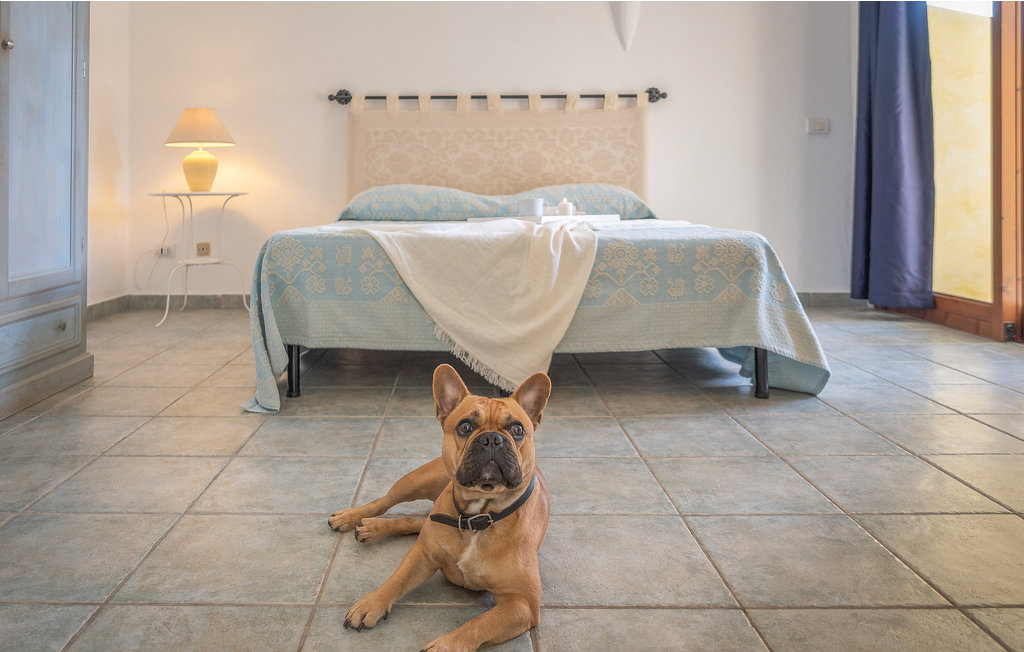 Ferienwohnung - Palau , Italien - IGS152 14