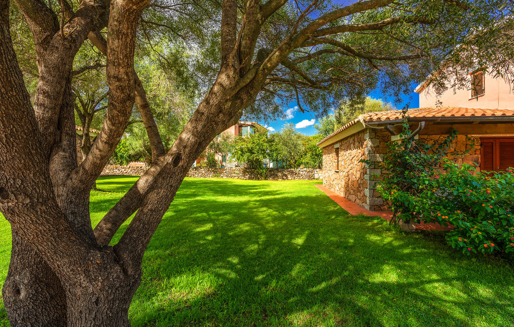 Ferienwohnung - San Teodoro , Italien - IGS159 8