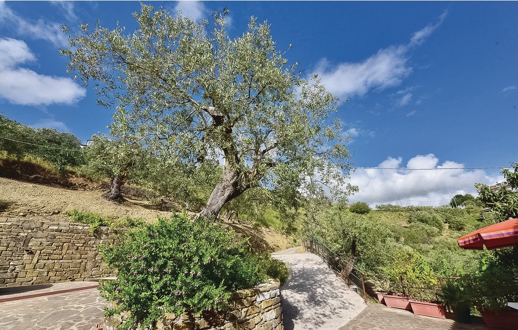 Ferieleilighet - Castellabate , Italia - IKC170 9