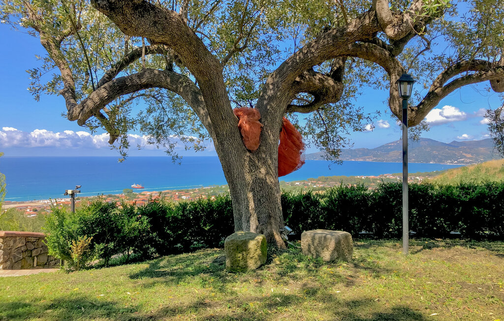 Lejlighed - Ascea , Italien - IKC065 16