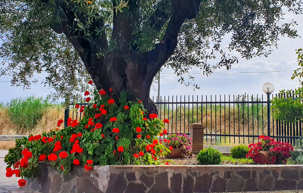 Ferienwohnung - Casal Velino , Italien - IKC681 8