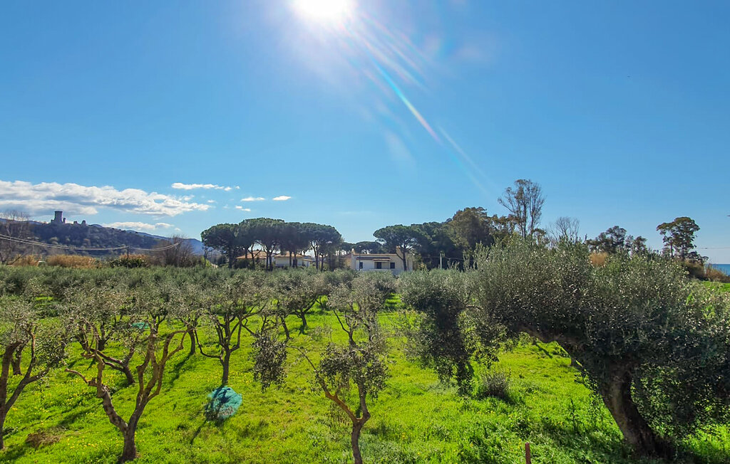 Ferienwohnung - Casal Velino , Italien - IKC681 15