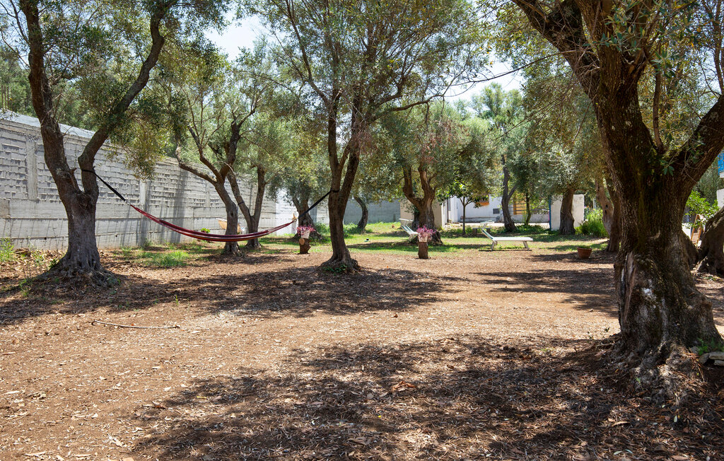 Ferienhaus - Palmi , Italien - IKK539 8