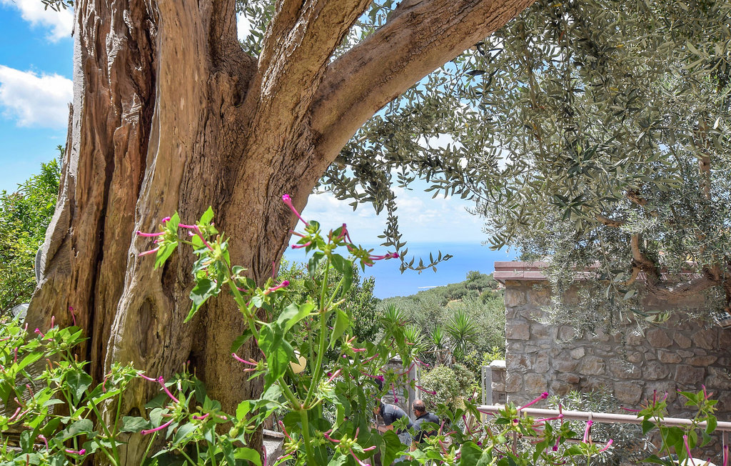 Lejlighed - Torca , Italien - IKS205 7