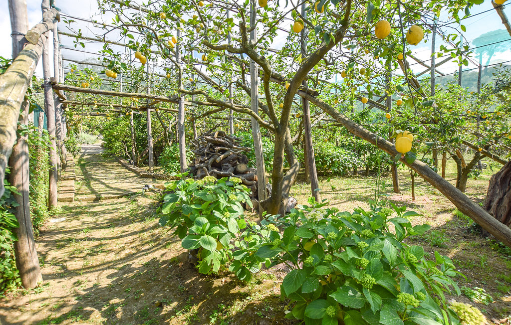 Ferienhaus - Sorrento , Italien - IKS212 8