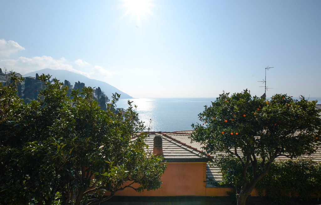 Ferienwohnung - Recco-Camogli , Italien - ILL913 8