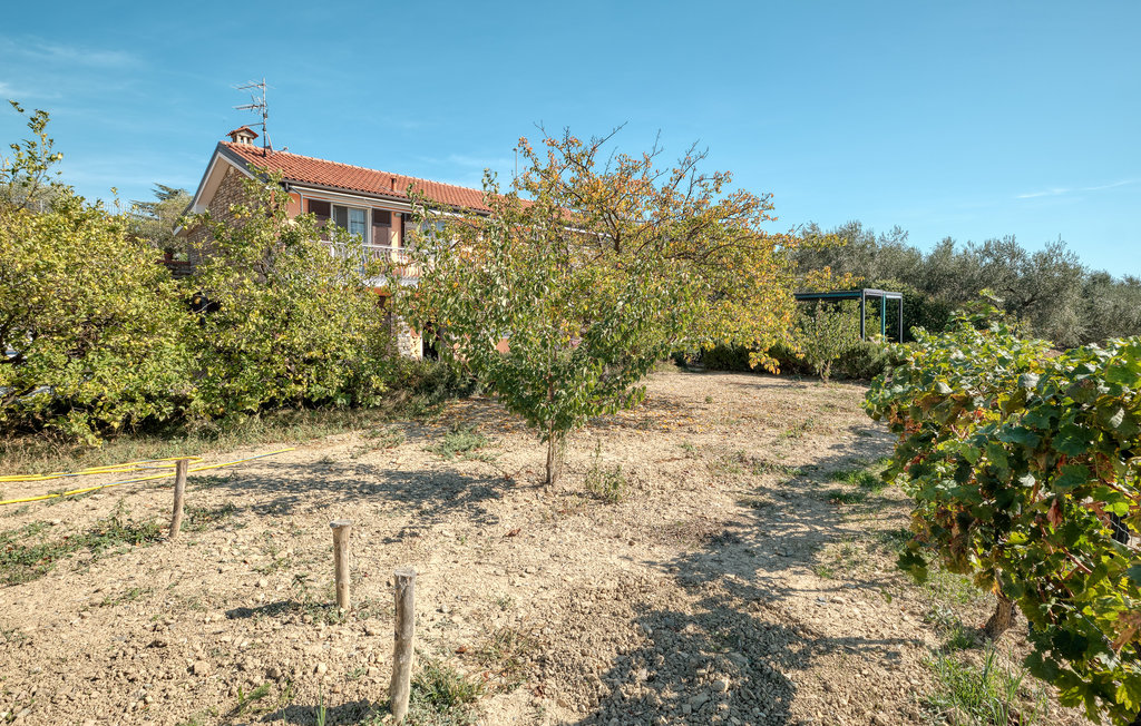 Ferienwohnung - Imperia - Riviera dei Fiori , Italien - ILL555 23