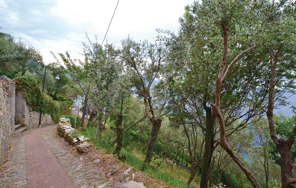 Semesterhus - Pieve Ligure , Italien - ILL263 26