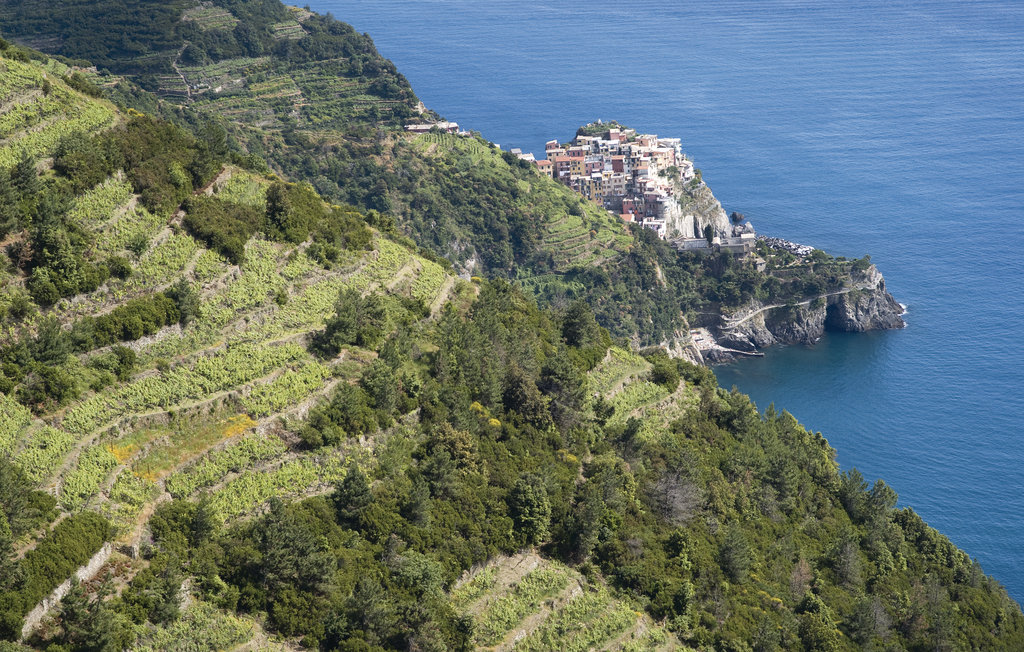 Ferienwohnung - Cinque Terre - S.Stefano Magra , Italien - ILL564 24