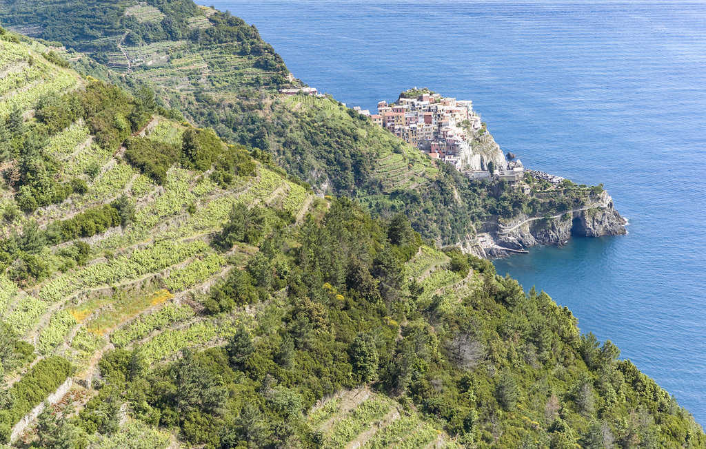 Ferienwohnung - Moneglia , Italien - ILL602 19