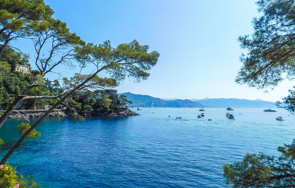 Ferienwohnung - Chiavari , Italien - ILL895 14