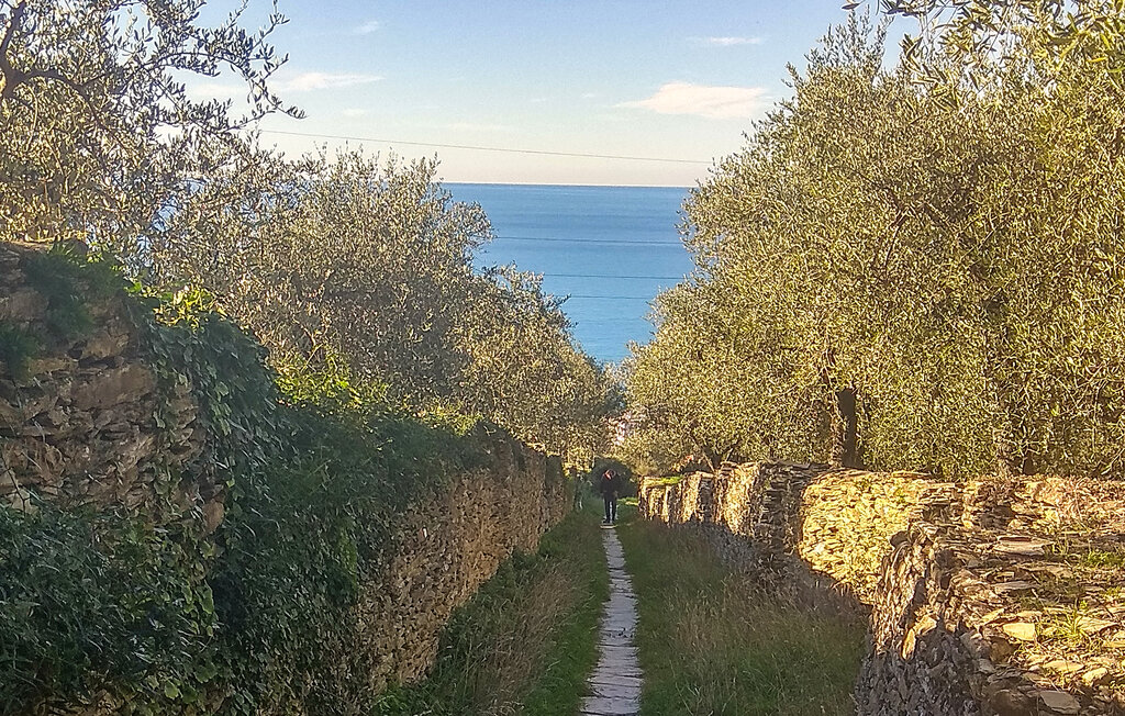Ferienwohnung - Lavagna , Italien - ILL874 29