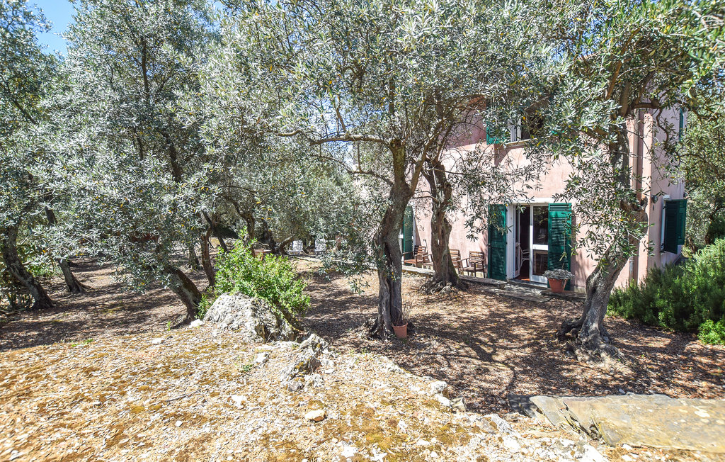 Feriehuse - Portovenere - Cinque Terre , Italien - ILL298 10