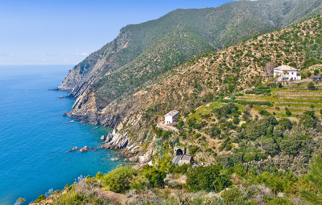 Ferienwohnung - Chiavari , Italien - ILL932 41