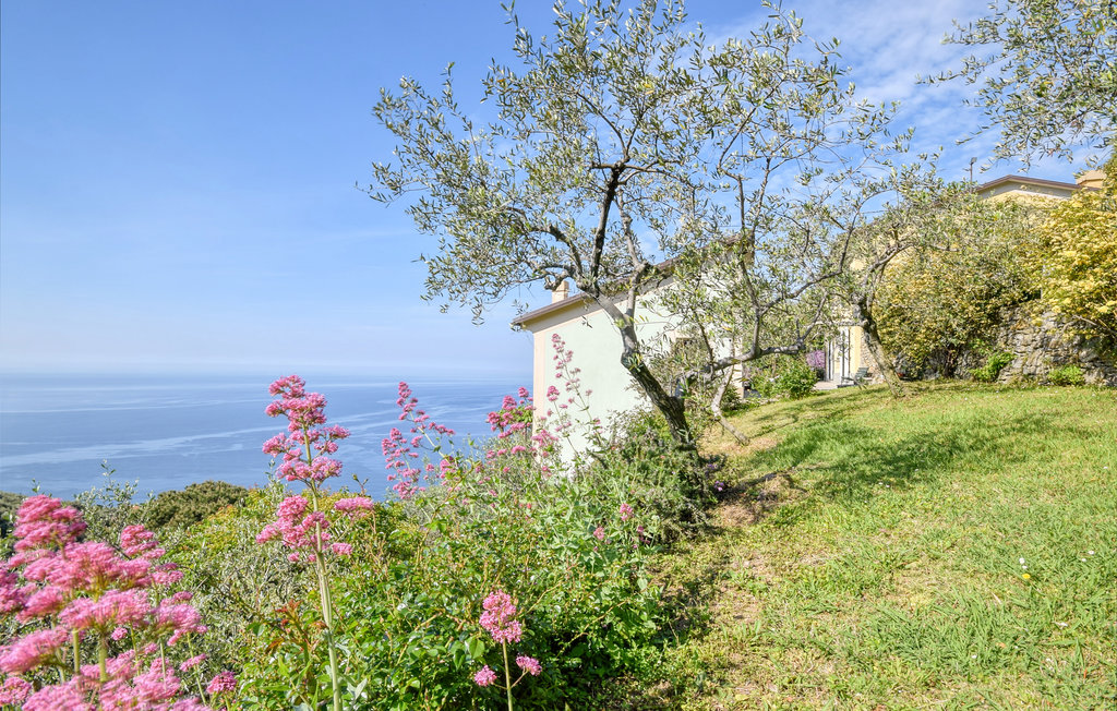 Ferienhaus - Zoagli , Italien - ILL794 14