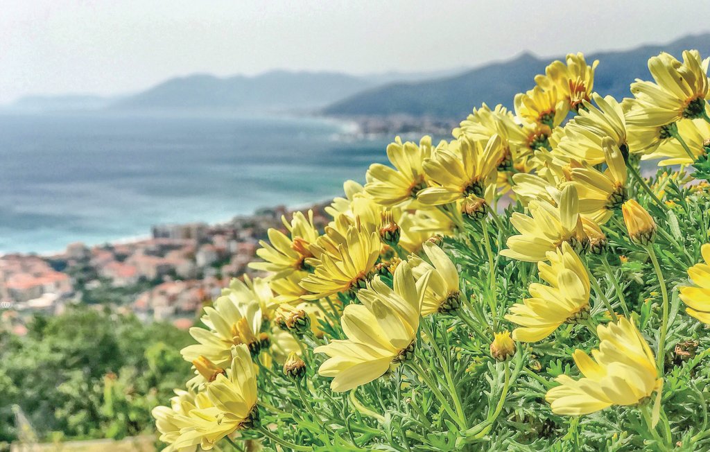Feriehus - Finale Ligure , Italia - ILL176 29
